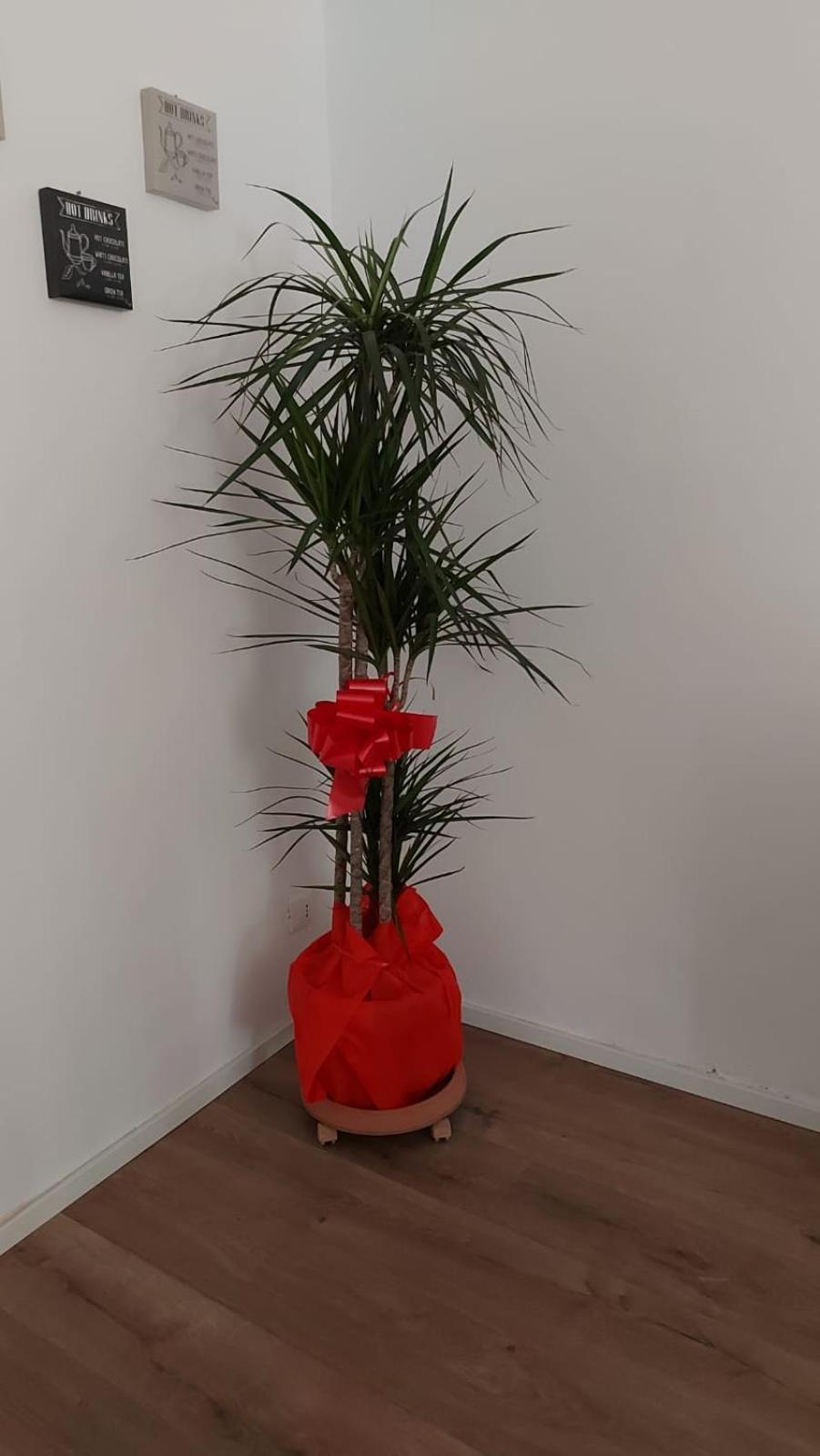 パレルモA Casa Di Elenaアパートメント エクステリア 写真